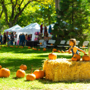 Fall Festival, Reno, NV